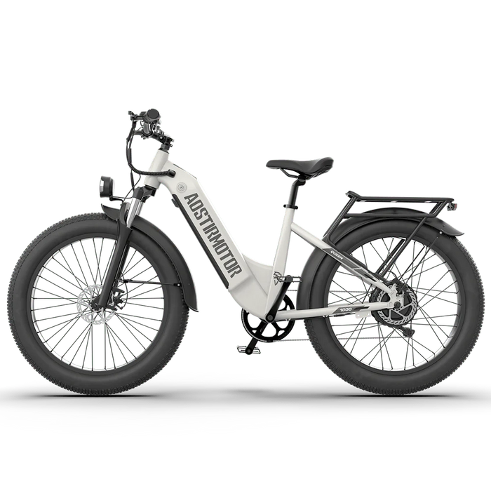 Aostirmotor Queen Electric Bike 1000W