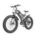 S18 Aostirmotor Electric Bike